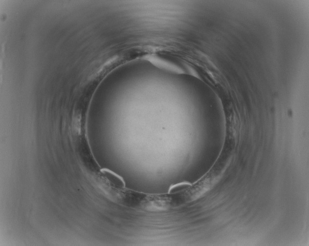 X0000062630368200512211235