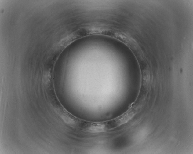 X0000062630369200512211235