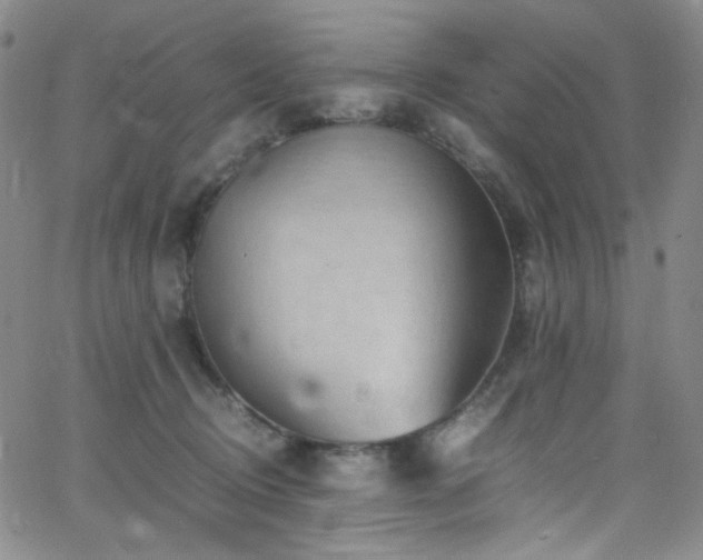 X0000062630370200512211235