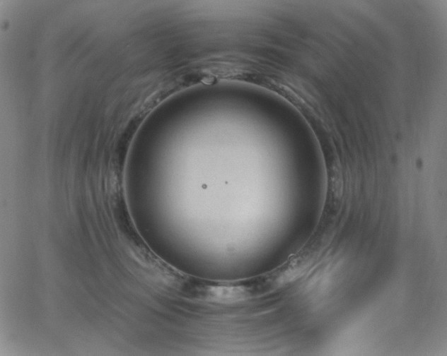 X0000062630371200512211235