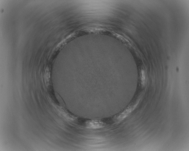 X0000062630372200512211235