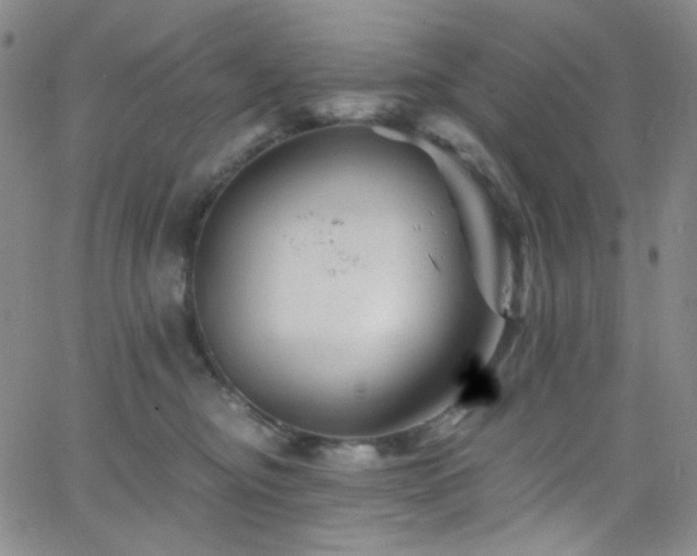 X0000062630374200512211235