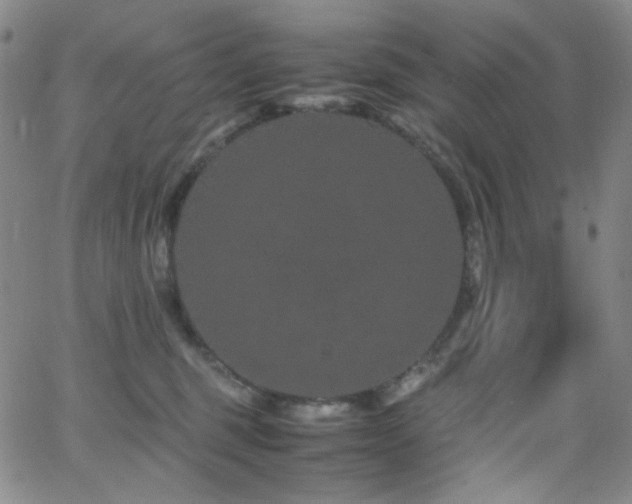 X0000062630375200512211235