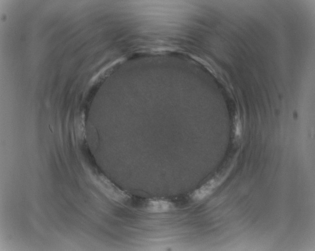 X0000062630376200512211235