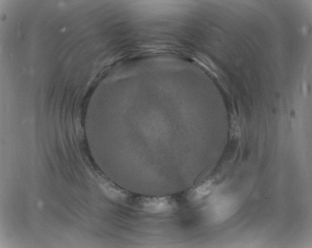 X0000062630377200512211235