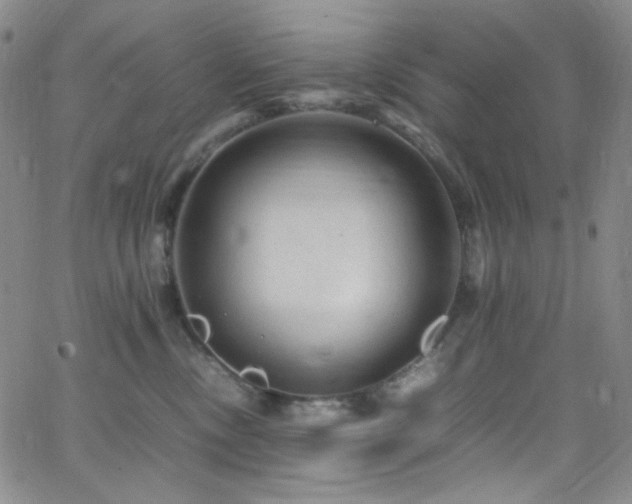 X0000062630378200512211235