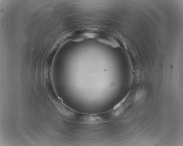 X0000062630379200512211235