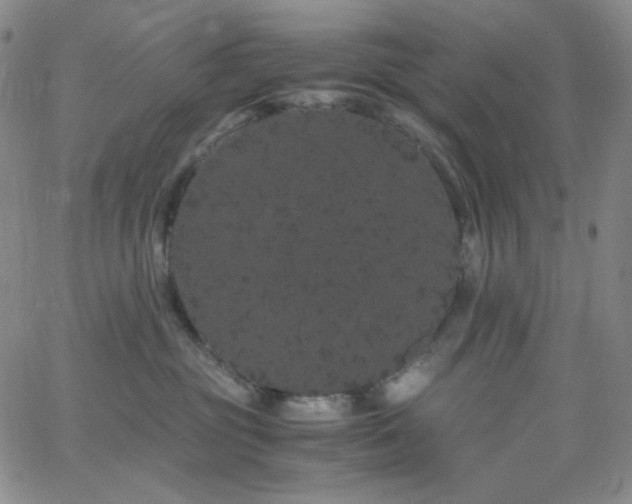 X0000062630381200512211235