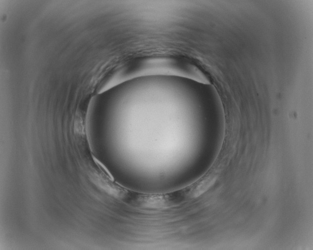 X0000062630384200512211235