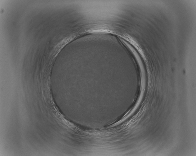 X0000062630385200512211235