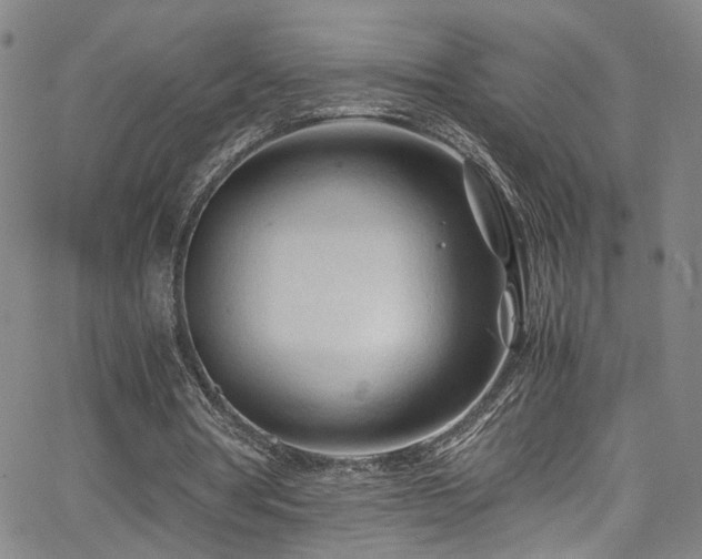 X0000062630386200512211235