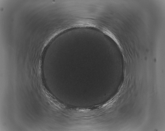 X0000062630387200512211234