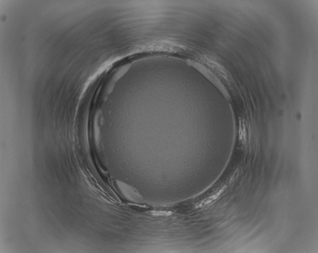 X0000062630388200512211234