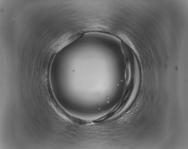 X0000062630389200512211234