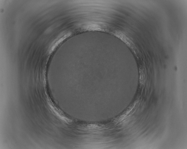 X0000062630390200512211234