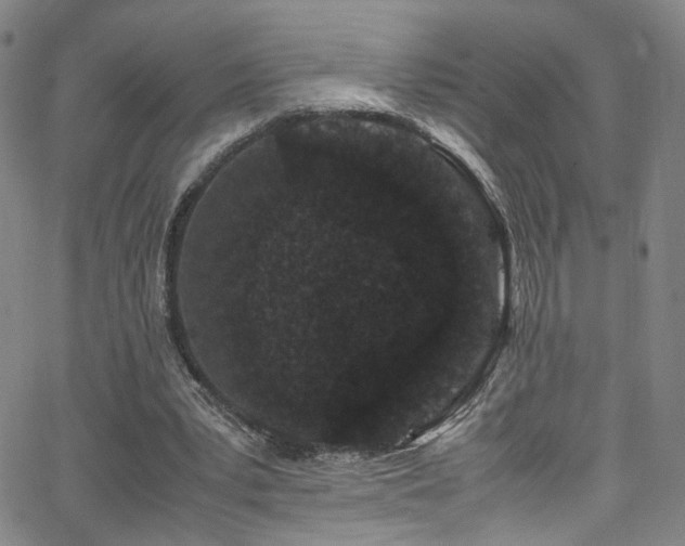 X0000062630391200512211234