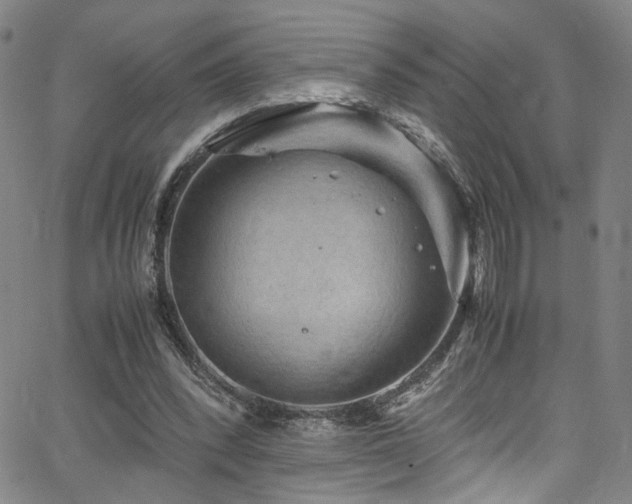 X0000062630392200512211234