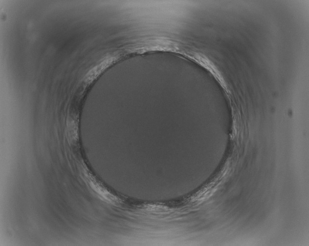 X0000062630393200512211234