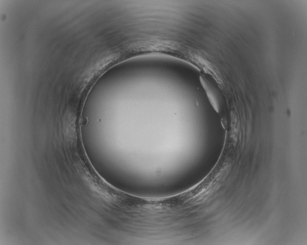 X0000062630394200512211234