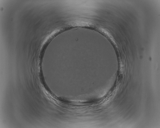 X0000062630395200512211234