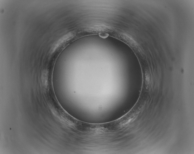 X0000062630396200512211234