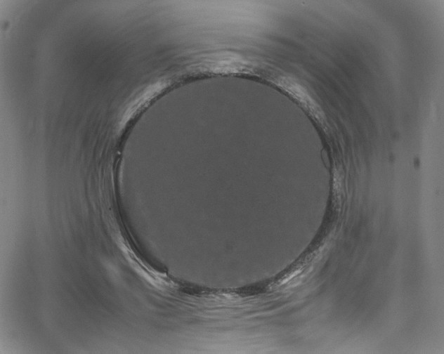 X0000062630397200512211234