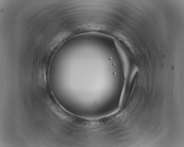 X0000062630398200512211234