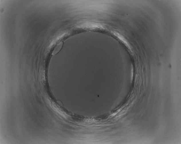 X0000062630399200512211234