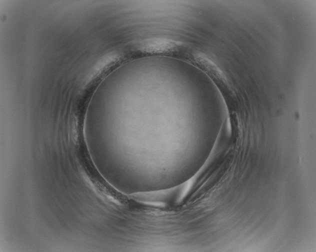 X0000062630400200512211234