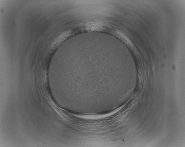 X0000062630401200512211234