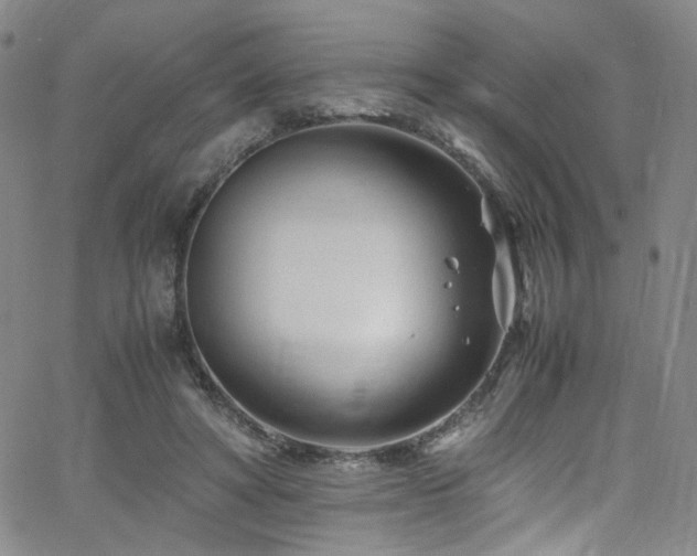 X0000062630402200512211234