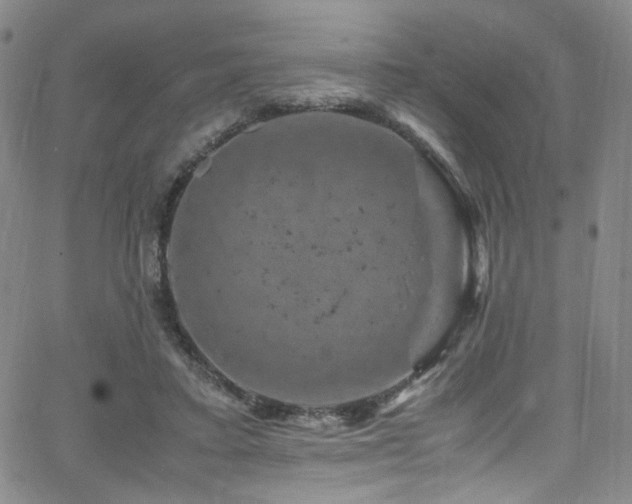 X0000062630403200512211234