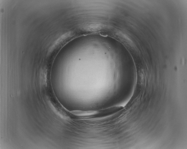 X0000062630404200512211234