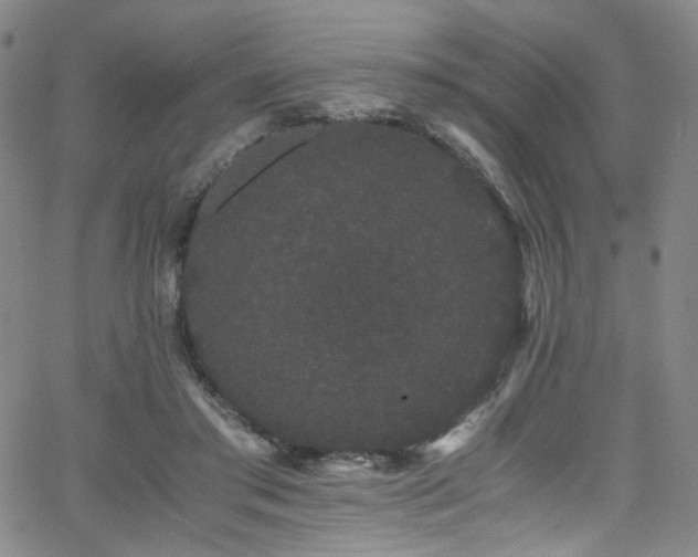 X0000062630405200512211234