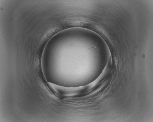 X0000062630407200512211234