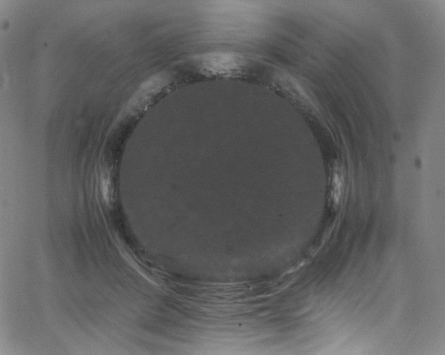 X0000062630408200512211234