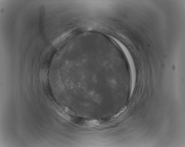 X0000062630409200512211234