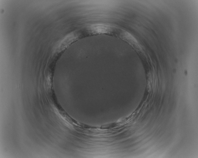 X0000062630410200512211234