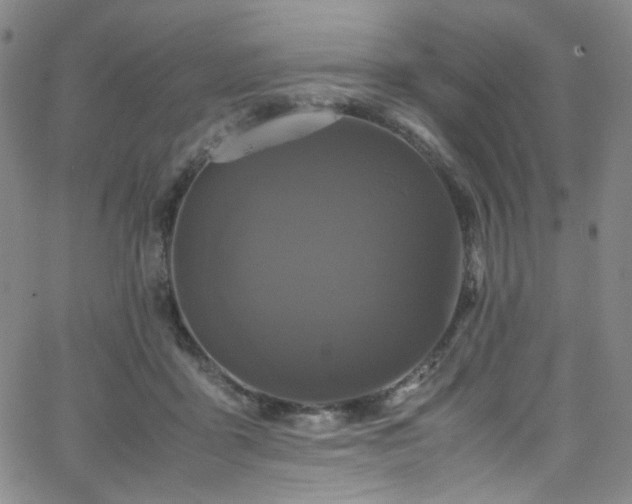 X0000062630411200512211234