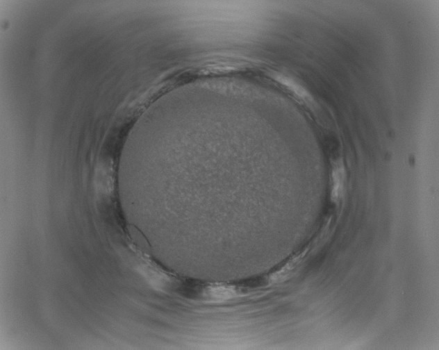 X0000062630413200512211234