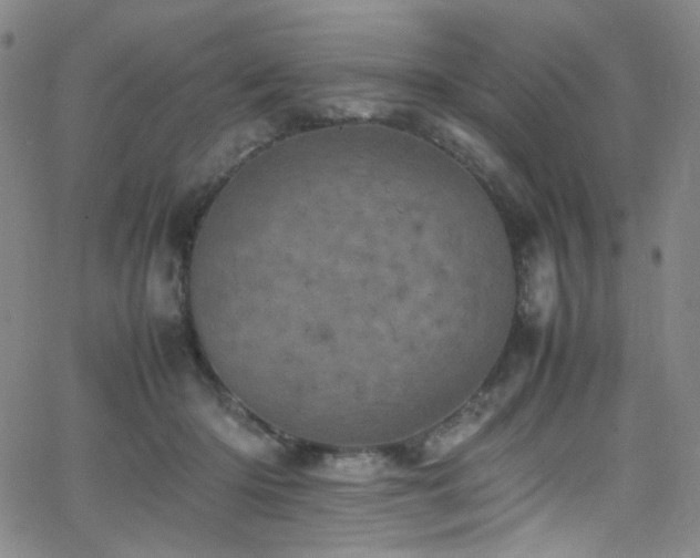 X0000062630414200512211234