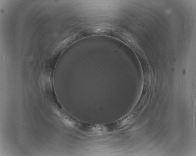 X0000062630415200512211234