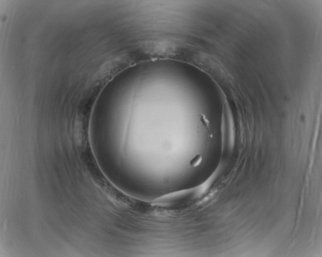 X0000062630416200512211234