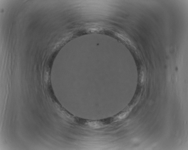 X0000062630417200512211234