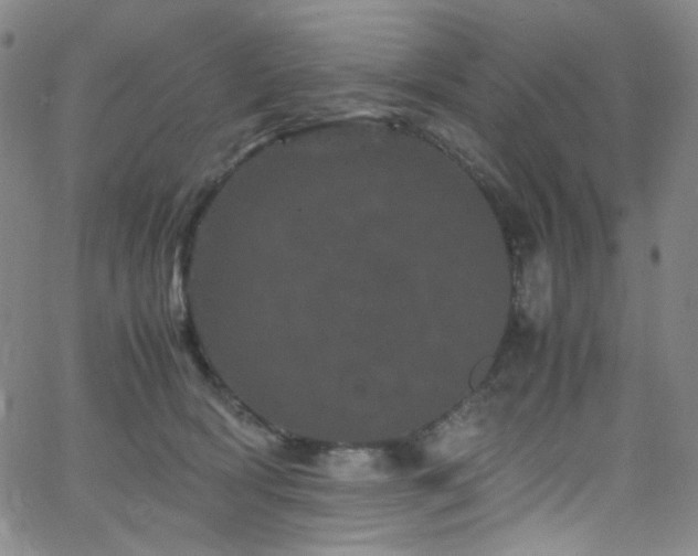 X0000062630418200512211234