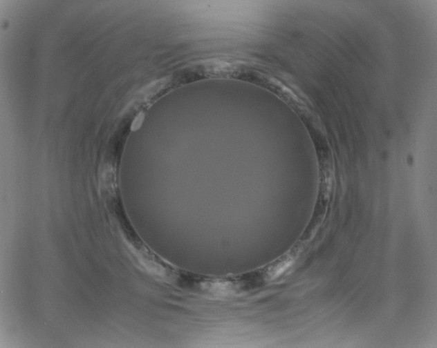 X0000062630419200512211234