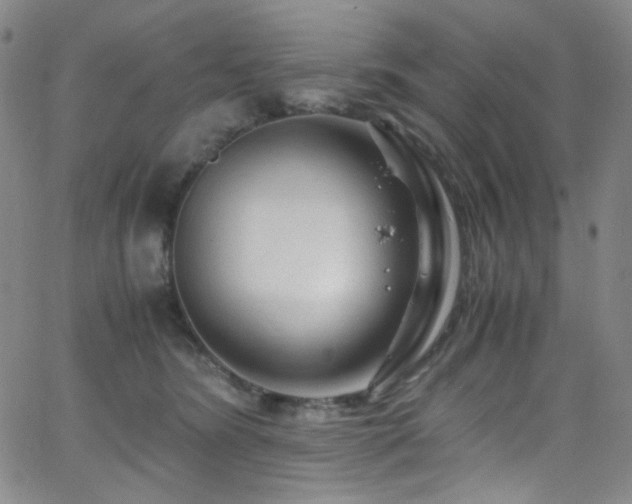 X0000062630420200512211234