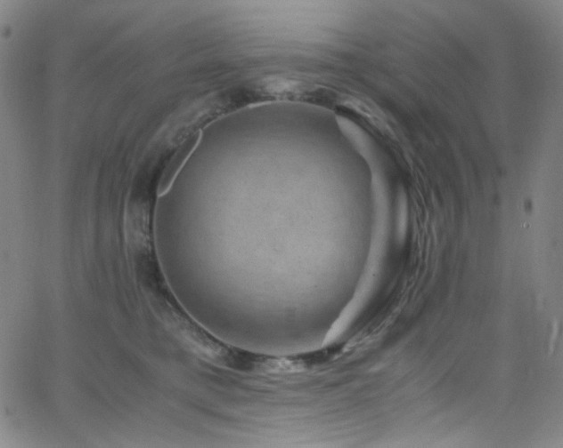 X0000062630421200512211234