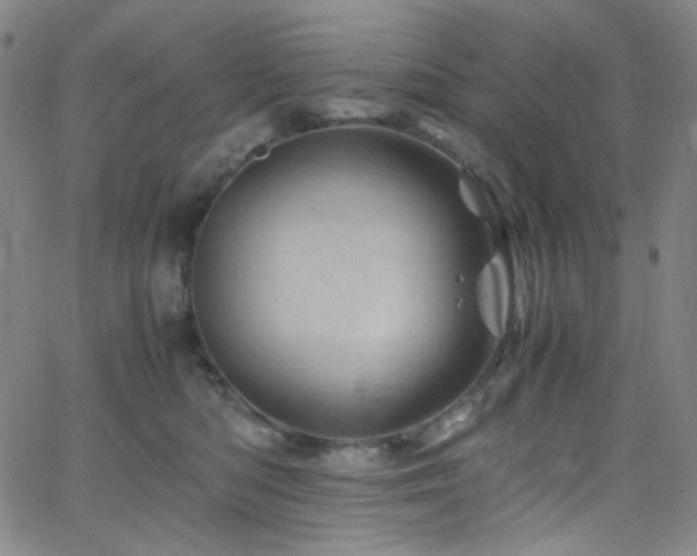 X0000062630422200512211234