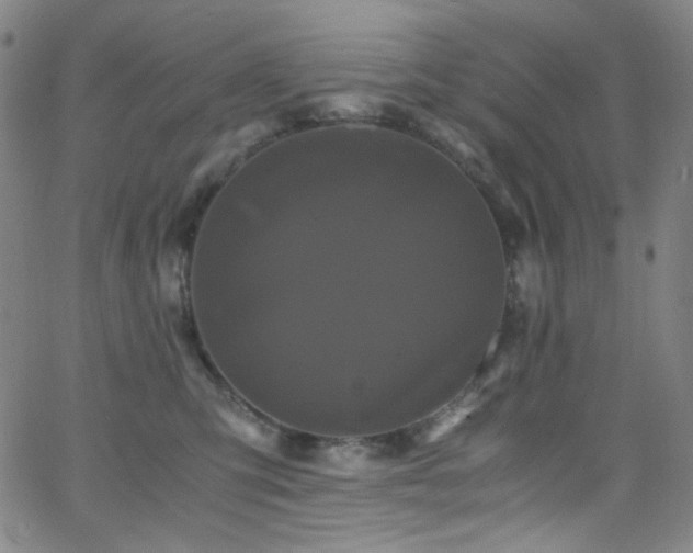 X0000062630423200512211234